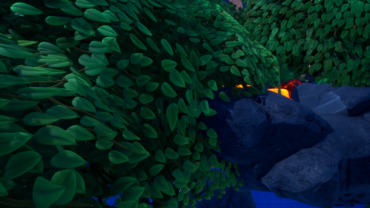 CTF Pirate Forts
