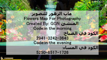 Flowers Map (ماب الزهور (صباحًا  📷🌼💐🌸 (Morning)