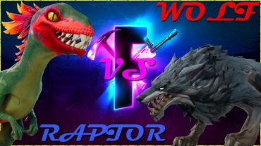 Raptor VS Wolf