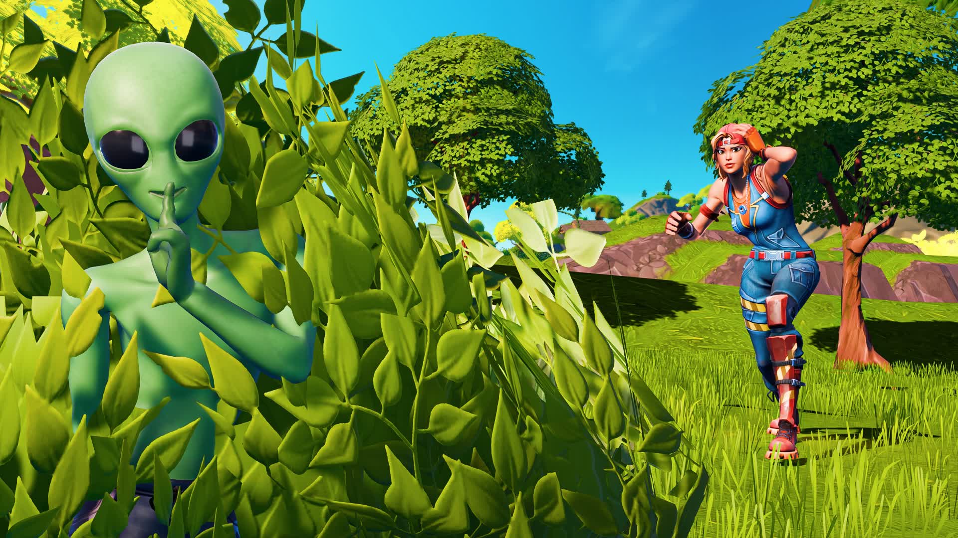 HIDE AND SEEK BUSHCAMP ISLAND - Landscape Comp 2707 